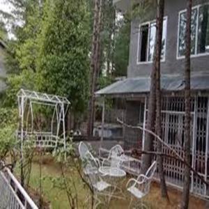 Pinetree Resort Nathiagali Nathia Gali Ngoại thất bức ảnh